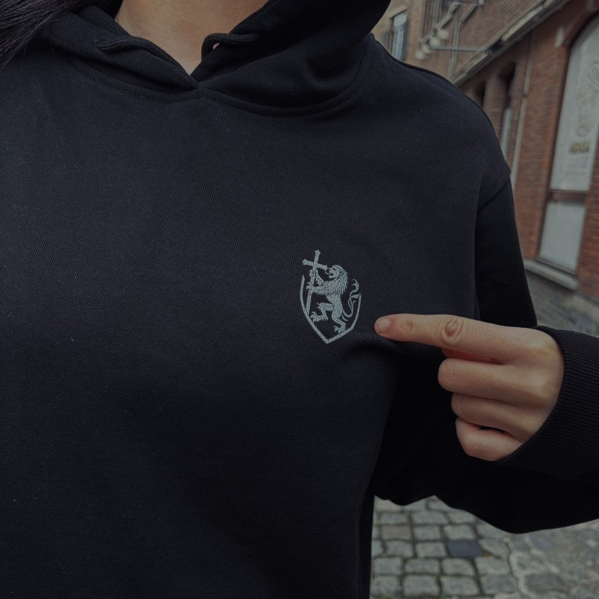 Flemish Heritage Hoodie